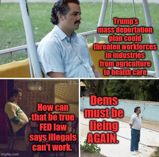 illegals don't vote either.That or federal laws are being ignored?Seems fed laws are pick & choose laws | Trump’s mass deportation plan could threaten workforces in industries from agriculture to health care; Dems must be lieing AGAIN. How can that be true FED law says illegals can't work. | image tagged in memes,sad pablo escobar | made w/ Imgflip meme maker