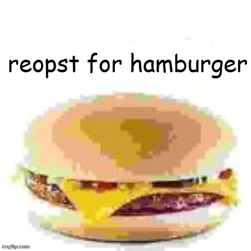 hamburger | reopst for hamburger | image tagged in hamburger | made w/ Imgflip meme maker