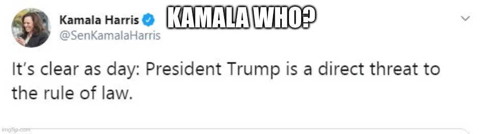 Kamala Harris tweet | KAMALA WHO? | image tagged in kamala harris tweet | made w/ Imgflip meme maker