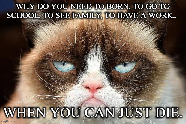 Grumpy Cat Not Amused | WHY DO YOU NEED TO BORN, TO GO TO SCHOOL, TO SEE FAMILY, TO HAVE A WORK... WHEN YOU CAN JUST DIE. | image tagged in memes,grumpy cat not amused,grumpy cat | made w/ Imgflip meme maker