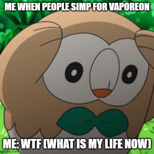 Vaporeon simps (UGH) My honest reaction | ME WHEN PEOPLE SIMP FOR VAPOREON; ME: WTF (WHAT IS MY LIFE NOW) | image tagged in rowlet meme template | made w/ Imgflip meme maker