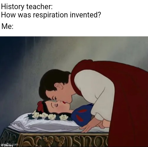 "And the prince had no idea that he just changed the world." | History teacher: 
How was respiration invented? Me: | image tagged in blank white template | made w/ Imgflip meme maker