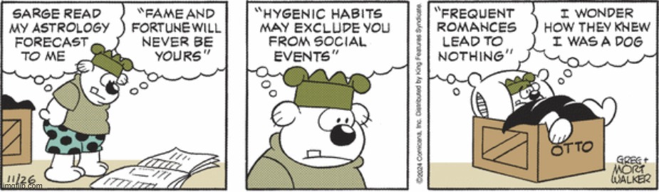 Beetle Bailey | image tagged in comics | made w/ Imgflip meme maker