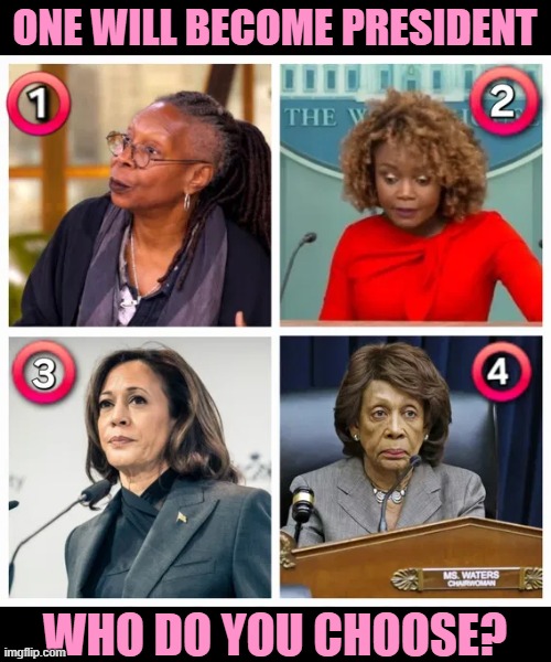 The impossible choice | ONE WILL BECOME PRESIDENT; WHO DO YOU CHOOSE? | image tagged in whoopi,maxine waters,kjp,president,kamala | made w/ Imgflip meme maker