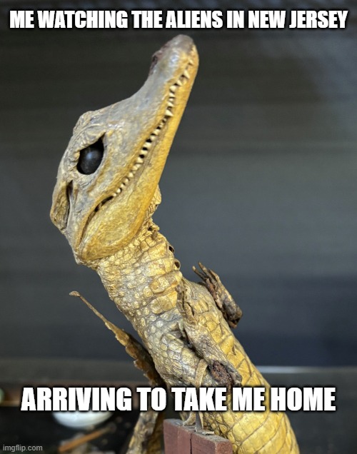 Dr. Schadenfreude | ME WATCHING THE ALIENS IN NEW JERSEY; ARRIVING TO TAKE ME HOME | image tagged in dr schadenfreude | made w/ Imgflip meme maker