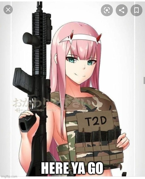 2nd amendment zero two | HERE YA GO | image tagged in 2nd amendment zero two | made w/ Imgflip meme maker