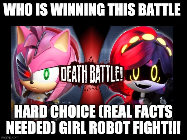 V vs Metal Amy ( ROSE) | WHO IS WINNING THIS BATTLE; HARD CHOICE (REAL FACTS NEEDED) GIRL ROBOT FIGHT!!! | image tagged in fight,sonic the hedgehog,murder drones | made w/ Imgflip meme maker