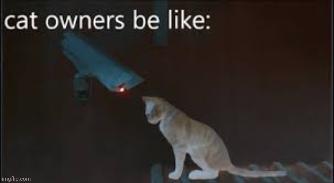 Stray | image tagged in stray | made w/ Imgflip meme maker