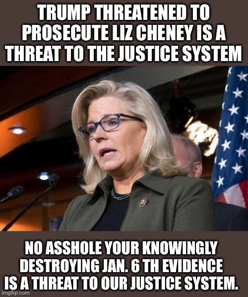 If she has done nothing wrong why does she need a blanket pardon! | TRUMP THREATENED TO PROSECUTE LIZ CHENEY IS A THREAT TO THE JUSTICE SYSTEM; NO ASSHOLE YOUR KNOWINGLY DESTROYING JAN. 6 TH EVIDENCE IS A THREAT TO OUR JUSTICE SYSTEM. | image tagged in liz cheney | made w/ Imgflip meme maker