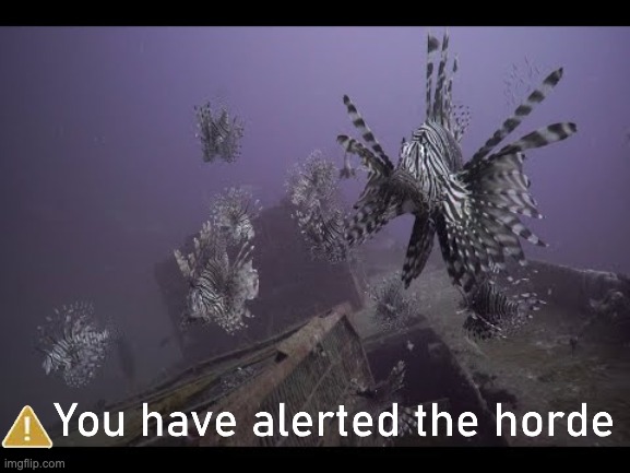 Hunting invasive lionfish off the Eastern Seaboard is the IRL Left 4 Dead tutorial ? | image tagged in left 4 dead,fish | made w/ Imgflip meme maker