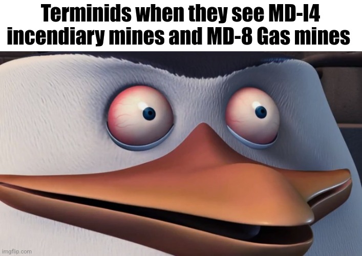 im sure there toys for the bugs to play with | Terminids when they see MD-I4 incendiary mines and MD-8 Gas mines | image tagged in penguins of madagascar skipper red eyes,helldivers 2,gaming | made w/ Imgflip meme maker