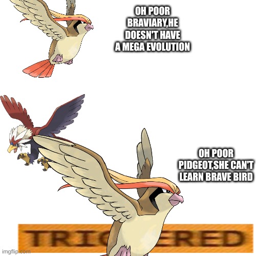 Blank Transparent Square | OH POOR BRAVIARY,HE DOESN'T HAVE A MEGA EVOLUTION; OH POOR PIDGEOT,SHE CAN'T LEARN BRAVE BIRD | image tagged in memes,blank transparent square | made w/ Imgflip meme maker