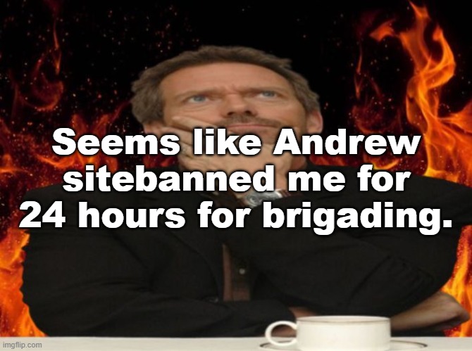 I get why, it's basically harassment. The part I don't get is the length of the ban. | Seems like Andrew sitebanned me for 24 hours for brigading. | image tagged in dr house md | made w/ Imgflip meme maker