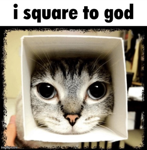 When notification received on a post from 2 years ago | made w/ Imgflip meme maker