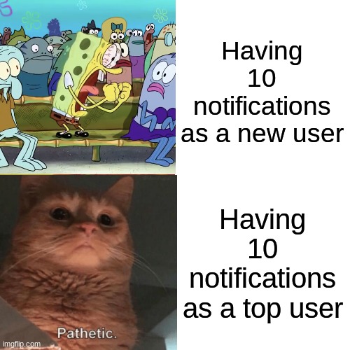 Pathetic. | Having 10 notifications as a new user; Having 10 notifications as a top user | image tagged in memes,pathetic cat,spongebob yelling,notifications,new users,top users | made w/ Imgflip meme maker