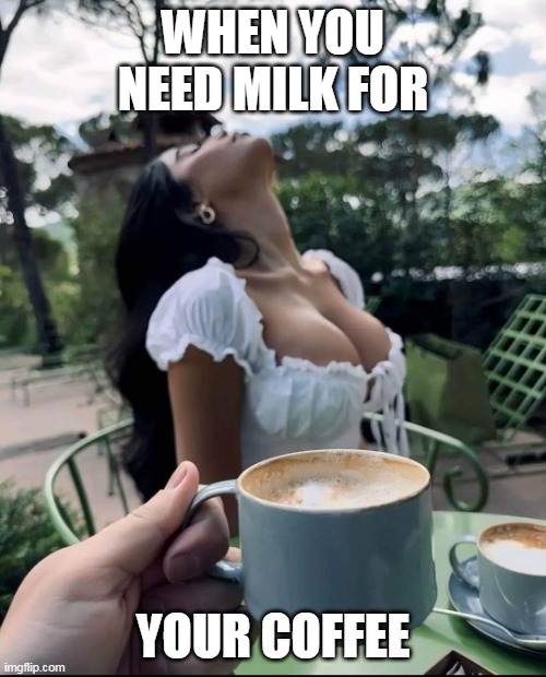 When you need milk for your coffee | WHEN YOU NEED MILK FOR; YOUR COFFEE | image tagged in sleepy,coffee,funny,milk,boobs | made w/ Imgflip meme maker