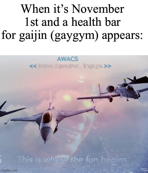 Attack the D point! | When it’s November 1st and a health bar for gaijin (gaygym) appears: | image tagged in warthunder,funny,aircraft,acecombat,ac7,acecombat7 | made w/ Imgflip meme maker