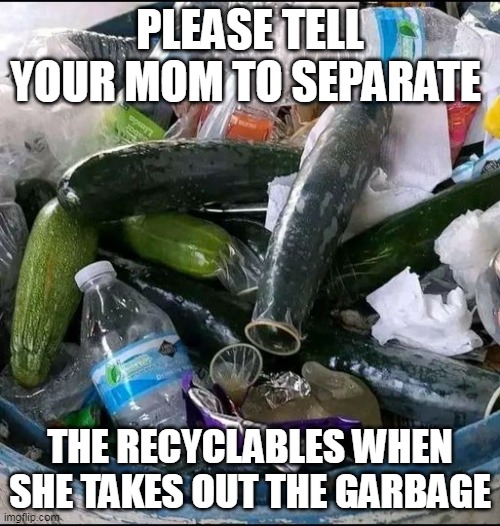 Please tell your mom to separate the recyclables when she takes out the garbage | PLEASE TELL YOUR MOM TO SEPARATE; THE RECYCLABLES WHEN SHE TAKES OUT THE GARBAGE | image tagged in cucumber,funny,recyclables,mom,yo momma,masturbation | made w/ Imgflip meme maker