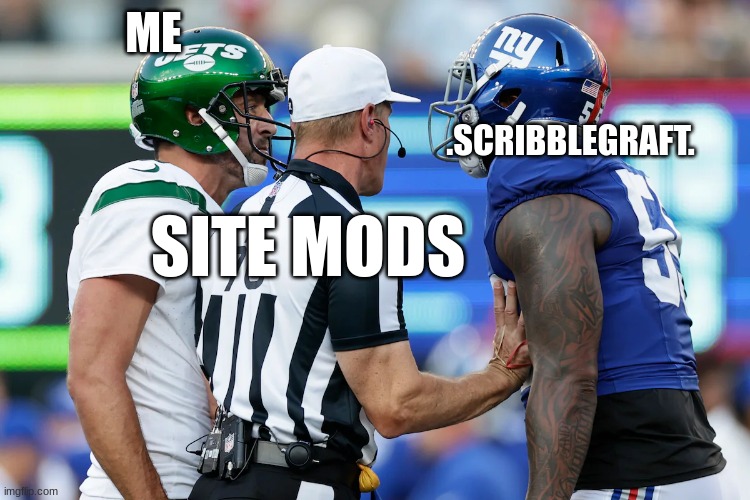 nfl ref | ME; .SCRIBBLEGRAFT. SITE MODS | image tagged in nfl ref | made w/ Imgflip meme maker