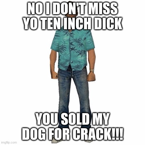 fucking love GTA | NO I DON'T MISS YO TEN INCH DICK; YOU SOLD MY DOG FOR CRACK!!! | image tagged in tommy vercetti | made w/ Imgflip meme maker