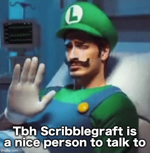 One of the rare people who actually gives a shit about me | Tbh Scribblegraft is a nice person to talk to | image tagged in luigi says no | made w/ Imgflip meme maker