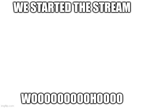 WE STARTED THE STREAM; WOOOOOOOOOHOOOO | made w/ Imgflip meme maker