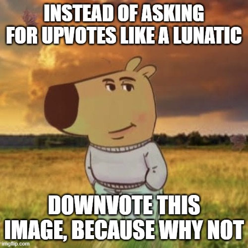 Make this the most unliked image, pls | INSTEAD OF ASKING FOR UPVOTES LIKE A LUNATIC; DOWNVOTE THIS IMAGE, BECAUSE WHY NOT | image tagged in chill guy | made w/ Imgflip meme maker