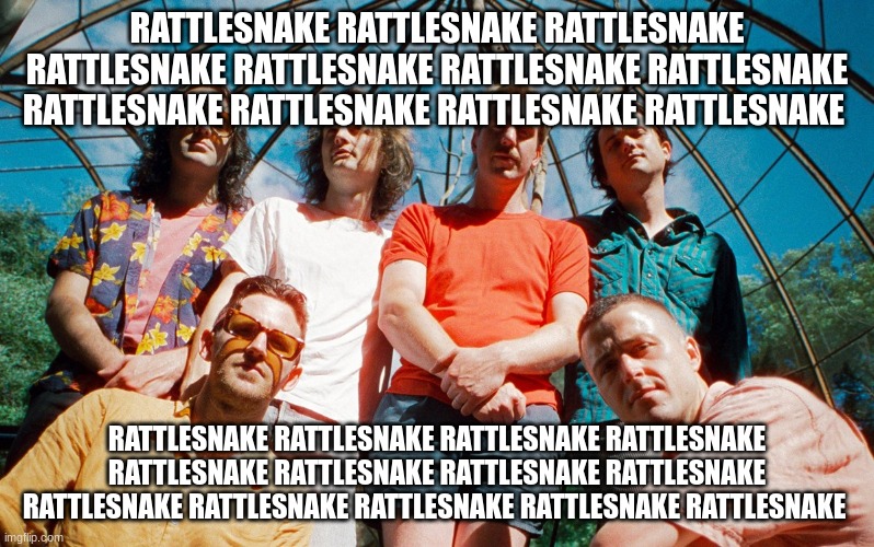 king gizzard | RATTLESNAKE RATTLESNAKE RATTLESNAKE RATTLESNAKE RATTLESNAKE RATTLESNAKE RATTLESNAKE RATTLESNAKE RATTLESNAKE RATTLESNAKE RATTLESNAKE; RATTLESNAKE RATTLESNAKE RATTLESNAKE RATTLESNAKE RATTLESNAKE RATTLESNAKE RATTLESNAKE RATTLESNAKE RATTLESNAKE RATTLESNAKE RATTLESNAKE RATTLESNAKE RATTLESNAKE | image tagged in king gizzard | made w/ Imgflip meme maker