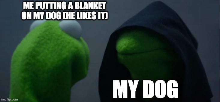 D O G G O | ME PUTTING A BLANKET ON MY DOG (HE LIKES IT); MY DOG | image tagged in memes,evil kermit | made w/ Imgflip meme maker