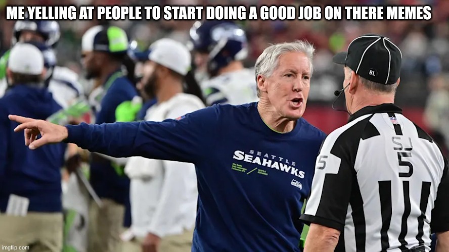 nfl head coach | ME YELLING AT PEOPLE TO START DOING A GOOD JOB ON THERE MEMES | image tagged in nfl head coach | made w/ Imgflip meme maker