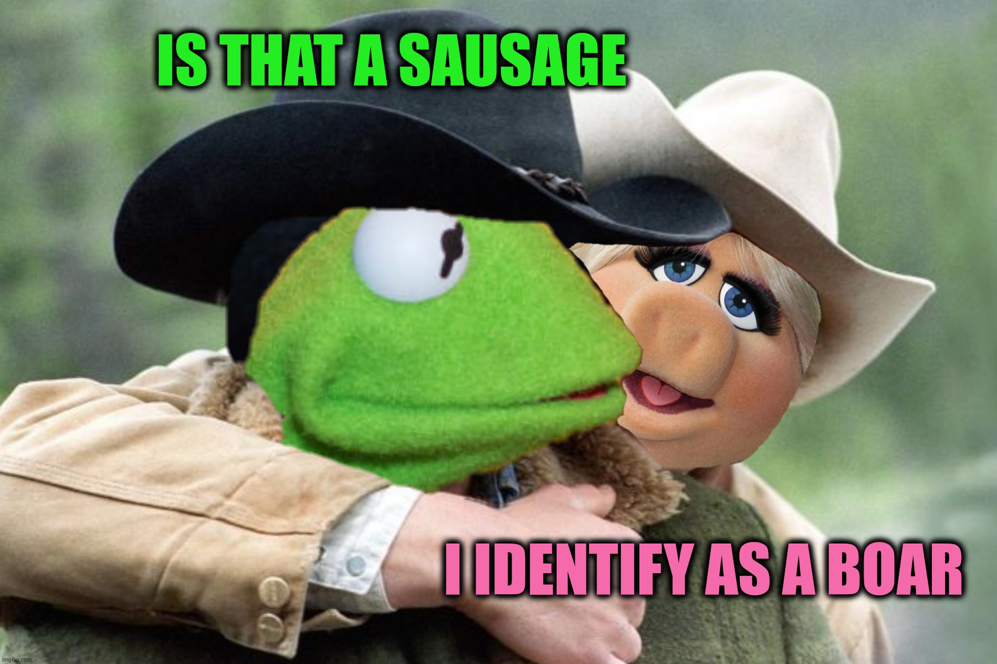 IS THAT A SAUSAGE I IDENTIFY AS A BOAR | made w/ Imgflip meme maker