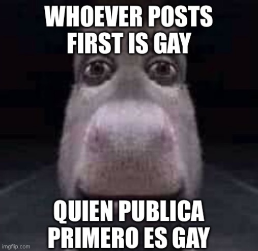 ?? | image tagged in whoever posts first is gay | made w/ Imgflip meme maker