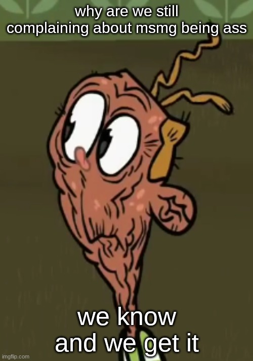 two shoes wild | why are we still complaining about msmg being ass; we know and we get it | image tagged in two shoes wild | made w/ Imgflip meme maker