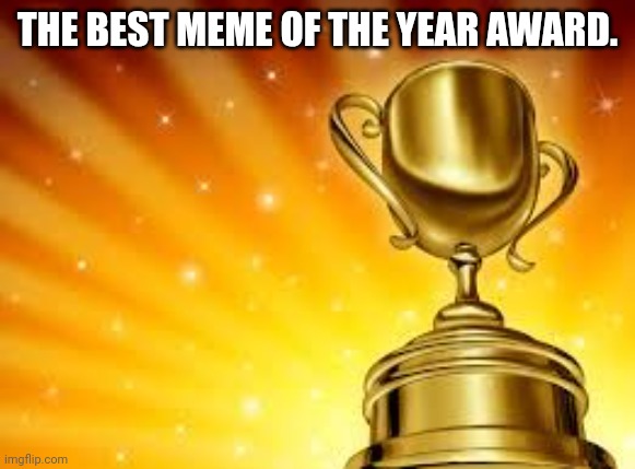 Award | THE BEST MEME OF THE YEAR AWARD. | image tagged in award | made w/ Imgflip meme maker