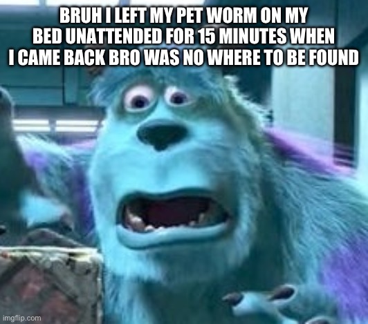 He’s dead by now unfortunately | BRUH I LEFT MY PET WORM ON MY BED UNATTENDED FOR 15 MINUTES WHEN I CAME BACK BRO WAS NO WHERE TO BE FOUND | image tagged in distressed sully | made w/ Imgflip meme maker