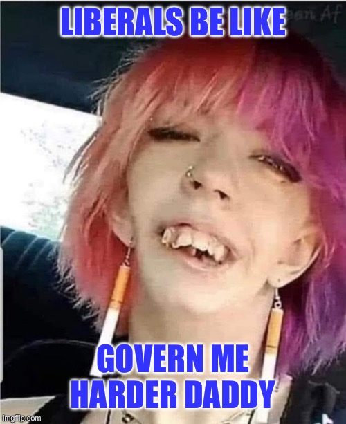 Govern me | LIBERALS BE LIKE; GOVERN ME HARDER DADDY | image tagged in liberals | made w/ Imgflip meme maker