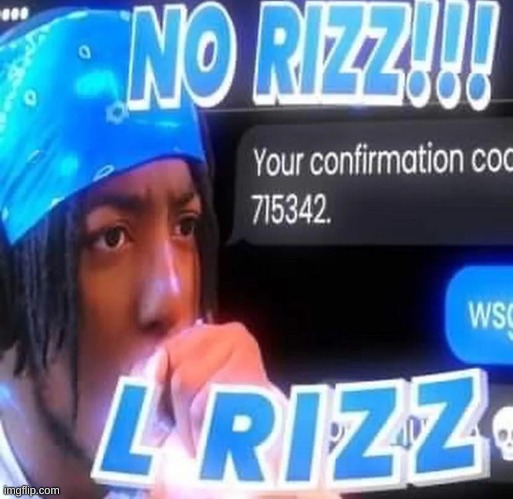 No rizz | image tagged in no rizz | made w/ Imgflip meme maker