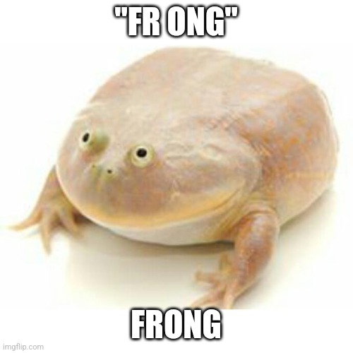 Wednesday Frog | "FR ONG"; FRONG | image tagged in wednesday frog | made w/ Imgflip meme maker