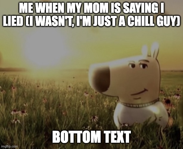 I won't argue with her, I'm too chill | ME WHEN MY MOM IS SAYING I LIED (I WASN'T, I'M JUST A CHILL GUY); BOTTOM TEXT | image tagged in chill guy | made w/ Imgflip meme maker