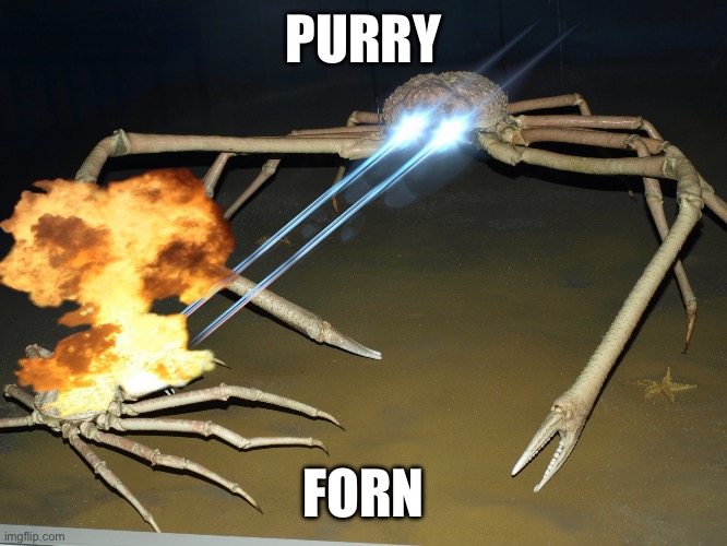 Laser Crab | PURRY; FORN | image tagged in laser crab | made w/ Imgflip meme maker