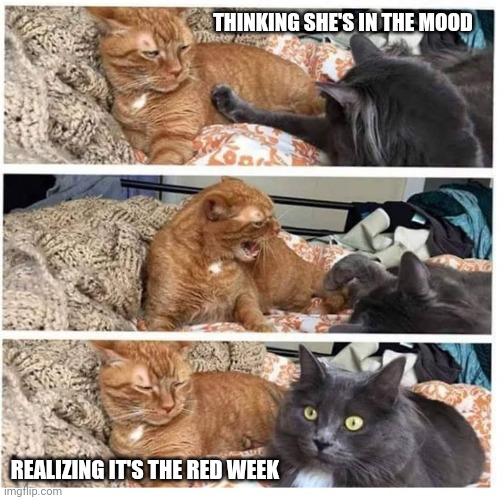 Red Week | THINKING SHE'S IN THE MOOD; REALIZING IT'S THE RED WEEK | image tagged in angry girlfriend | made w/ Imgflip meme maker