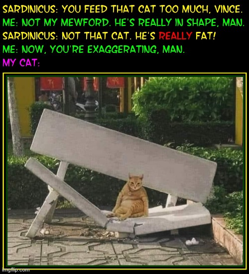 The bench had already broken... well, after I sat on it last time | image tagged in vince vance,cats,fat cat,funny cat memes,broken,park bench | made w/ Imgflip meme maker