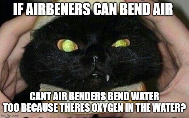 Cat Sandwitch | IF AIRBENERS CAN BEND AIR; CANT AIR BENDERS BEND WATER TOO BECAUSE THERES OXYGEN IN THE WATER? | image tagged in cat sandwitch | made w/ Imgflip meme maker