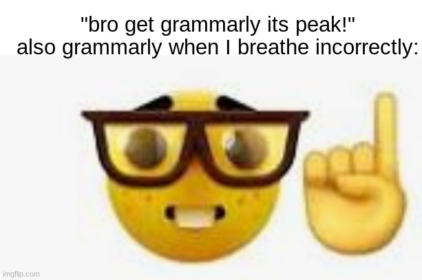 Nerd emoji finger up | "bro get grammarly its peak!"

also grammarly when I breathe incorrectly: | image tagged in nerd emoji finger up | made w/ Imgflip meme maker