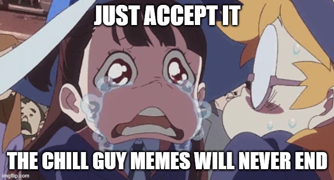 JUST ACCEPT IT; THE CHILL GUY MEMES WILL NEVER END | image tagged in chill guy | made w/ Imgflip meme maker