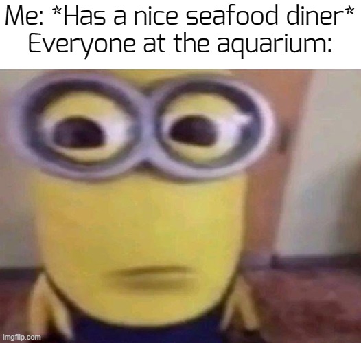 wut? | Me: *Has a nice seafood diner*
Everyone at the aquarium: | image tagged in minion stare | made w/ Imgflip meme maker