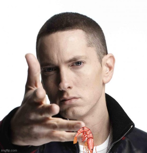 shrimp shady | image tagged in eminem video game logic,shrimp shady | made w/ Imgflip meme maker