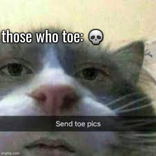 send toe pics cat | those who toe: 💀 | image tagged in send toe pics cat | made w/ Imgflip meme maker