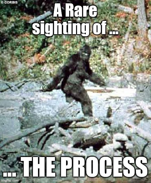 Arsenal fc | A Rare sighting of ... ... THE PROCESS | image tagged in bigfoot | made w/ Imgflip meme maker