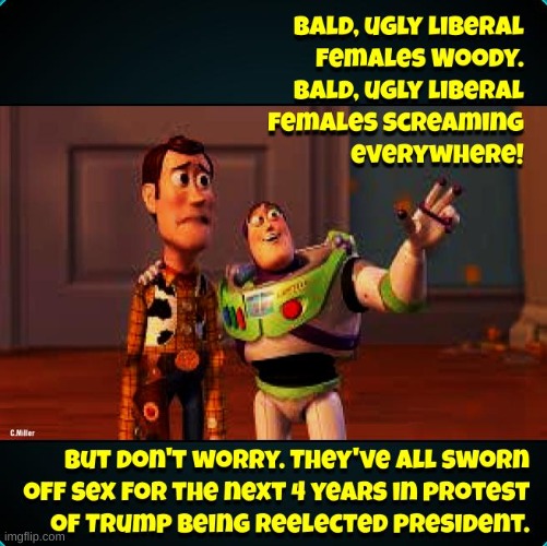 And shaving their heads too! There's no sacrifice too great for the cause apparently | image tagged in liberal logic,progressives,politics,democrats,imgflip community,toy story | made w/ Imgflip meme maker